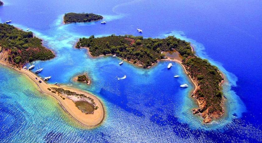 Seaden Sea Planet Resort & Spa